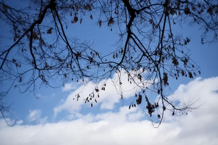 『ネット収益の設計図』-無料の文章×プロダクト販売で10年売り続けた仕組みと分散設計の方法-