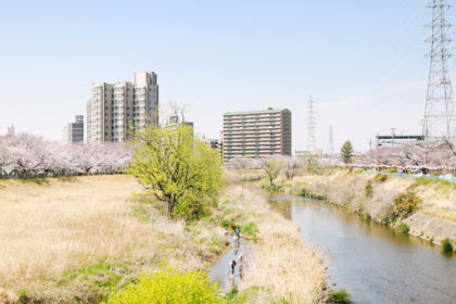 名古屋・天白川沿いの桜並木をお花見散歩してきました!(原の天白橋〜植田の音聞橋) | オニマガ – 名古屋散歩とシンプルライフのブログ