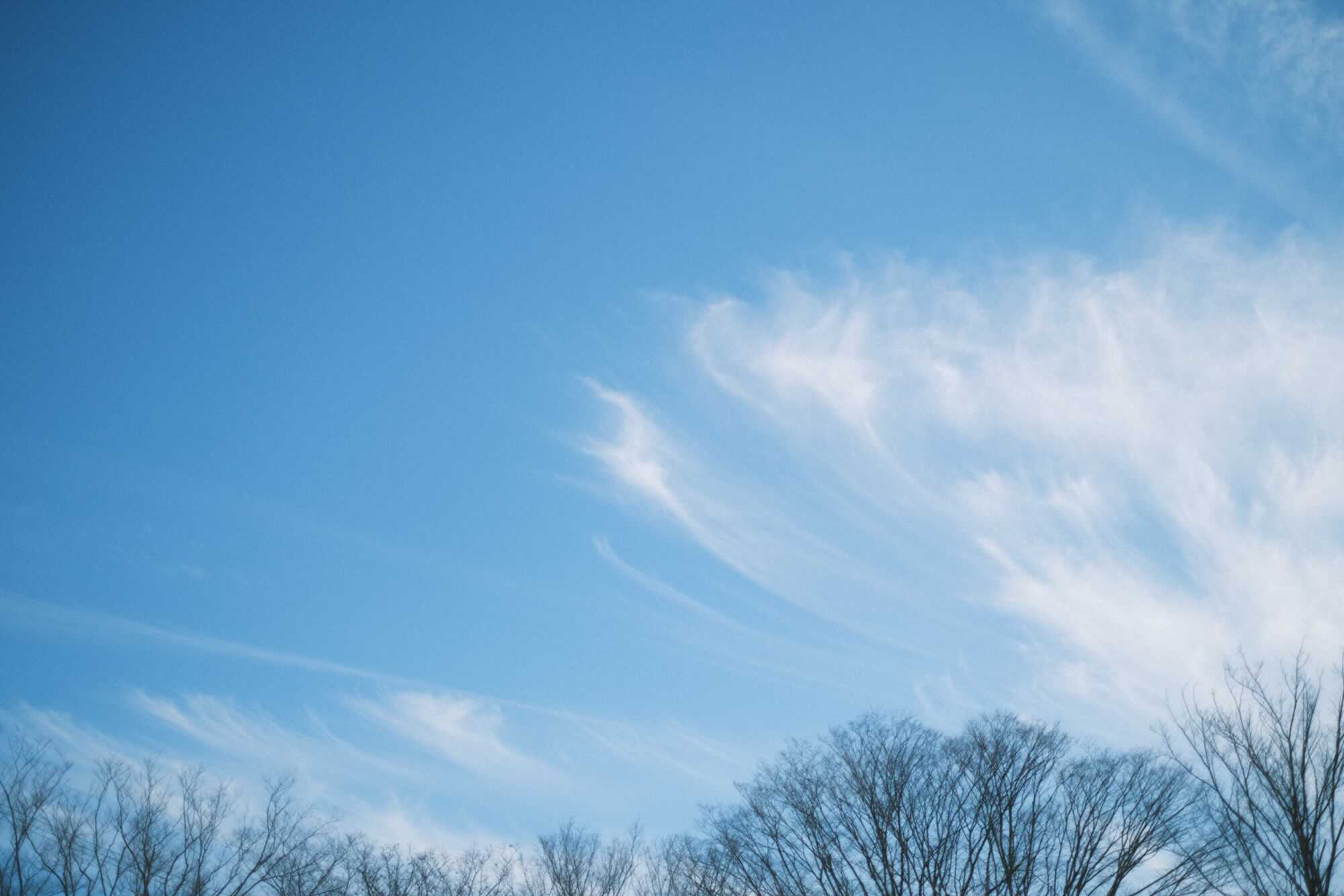 子供と一緒に吹上散歩（X-E4＋XF35mm F 1.4／クラシックネガ