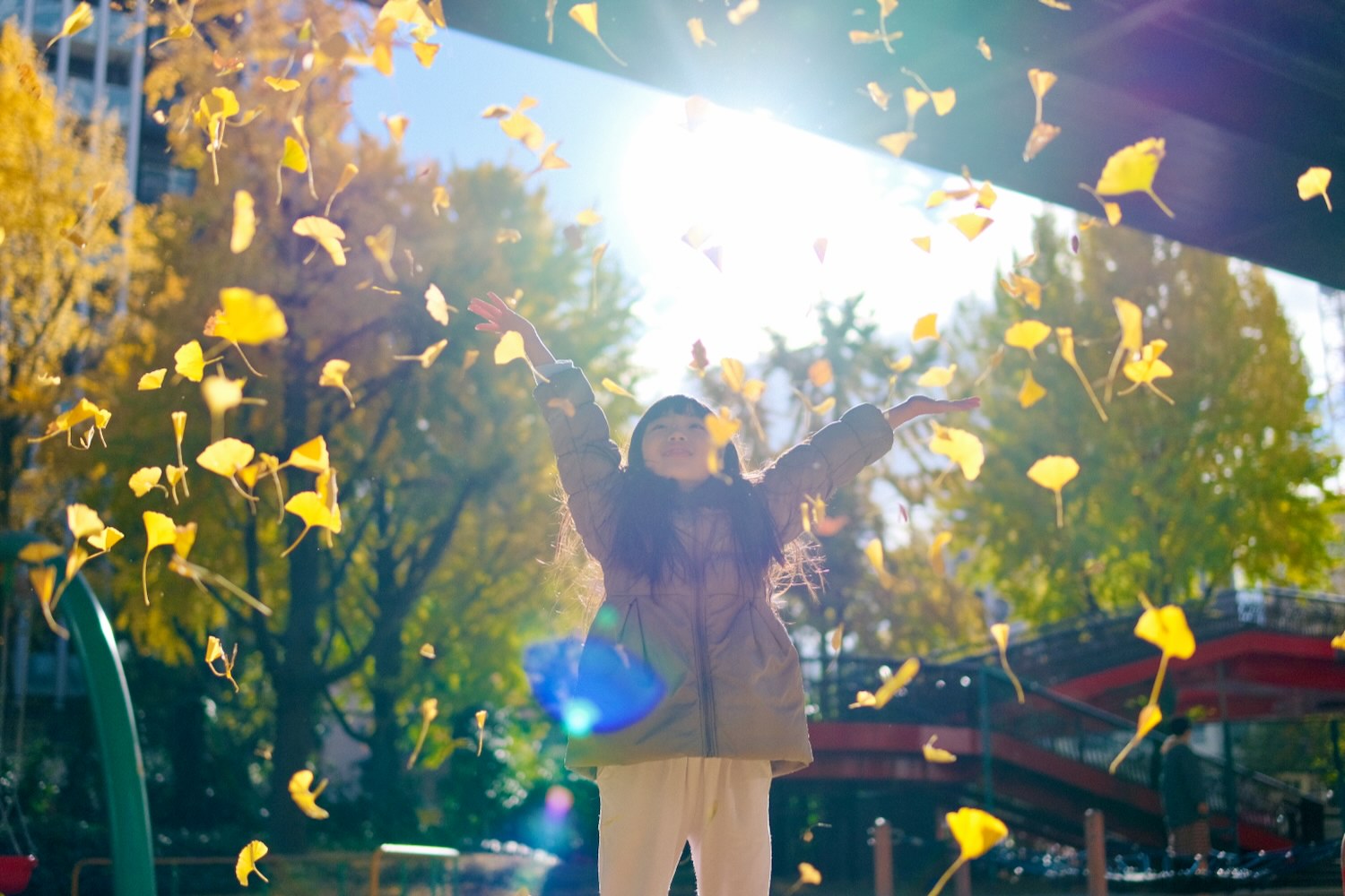 名古屋・若宮大通の紅葉の写真を撮りに行ってきました！（SIGMA 30mm