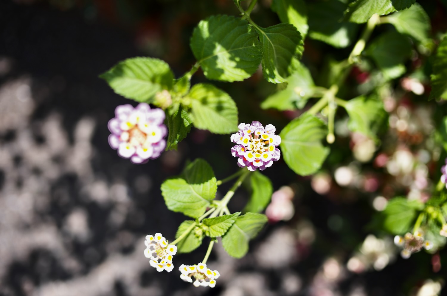 距離を置きたくなった時ほど、あえて近づいてみる – オニマガ – 名古屋